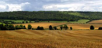 Magda vrabetz Pr4 QTW Gm Czw unsplash