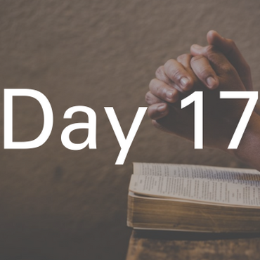 ADVENT calendar card 17