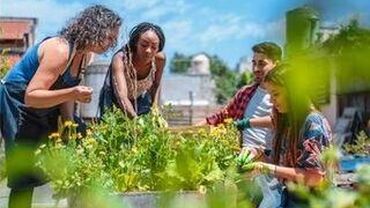 Evaluation Profile photo