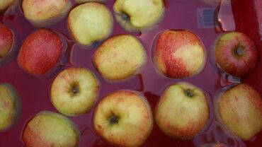 Random original stock photography Medium